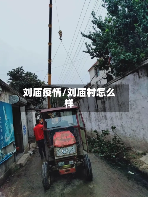 刘庙疫情/刘庙村怎么样-第1张图片