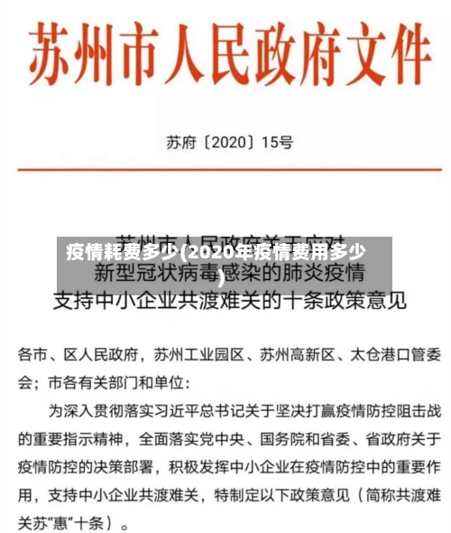 疫情耗费多少(2020年疫情费用多少)