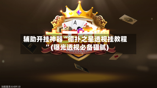 辅助开挂神器“德扑之星透视挂教程”(曝光透视必备猫腻)-第1张图片