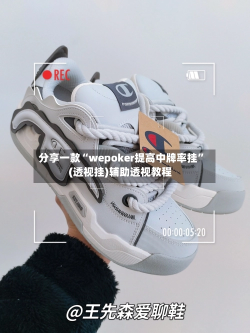 分享一款“wepoker提高中牌率挂	”(透视挂)辅助透视教程-第1张图片