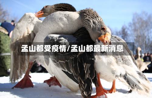 孟山都受疫情/孟山都最新消息-第1张图片