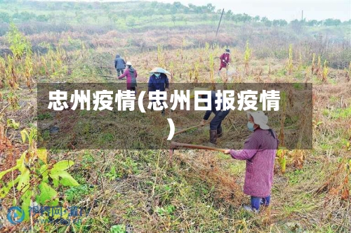 忠州疫情(忠州日报疫情)-第1张图片