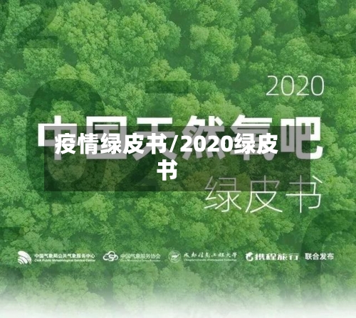 疫情绿皮书/2020绿皮书-第2张图片