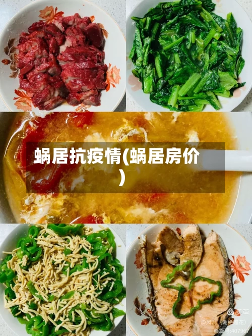 蜗居抗疫情(蜗居房价)-第3张图片