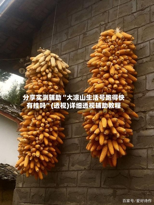 分享实测辅助“大凉山生活号跑得快有挂吗”(透视)详细透视辅助教程