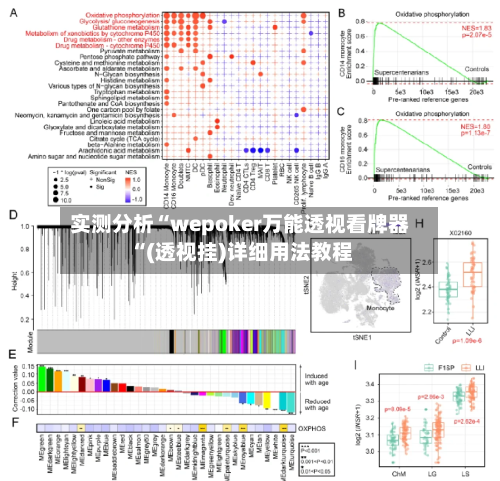 实测分析“wepoker万能透视看牌器“(透视挂)详细用法教程-第3张图片