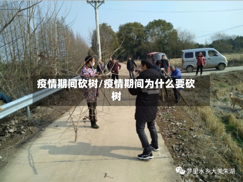 疫情期间砍树/疫情期间为什么要砍树