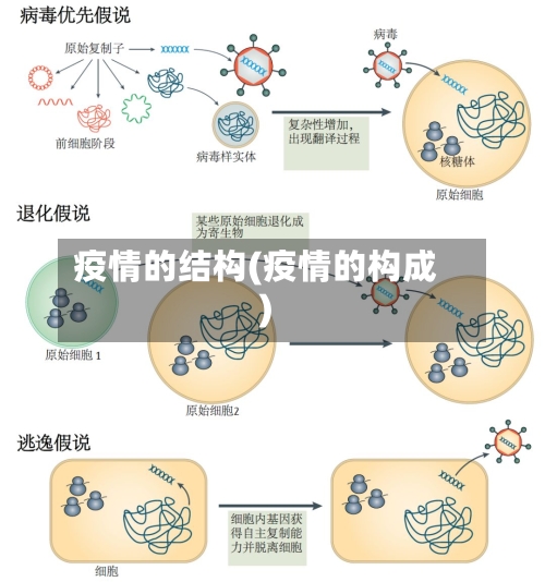 疫情的结构(疫情的构成)-第2张图片