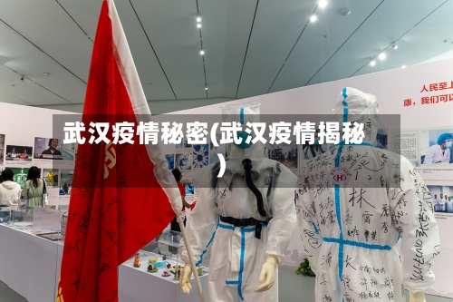 武汉疫情秘密(武汉疫情揭秘)-第1张图片