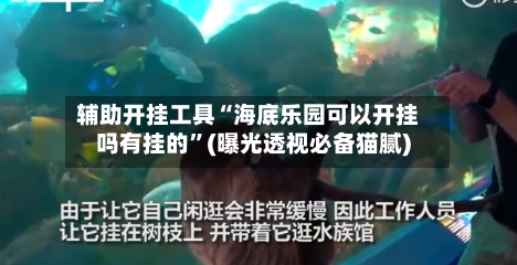 辅助开挂工具“海底乐园可以开挂吗有挂的”(曝光透视必备猫腻)