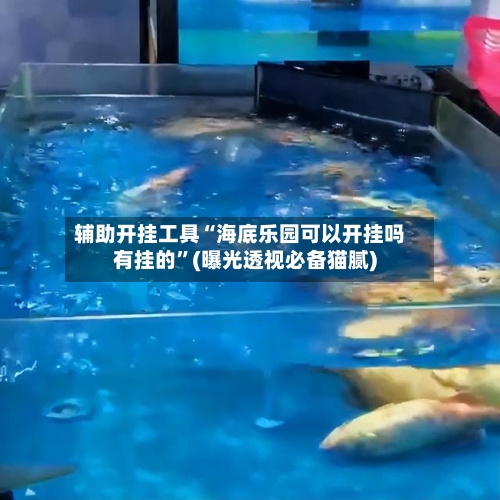 辅助开挂工具“海底乐园可以开挂吗有挂的”(曝光透视必备猫腻)-第2张图片