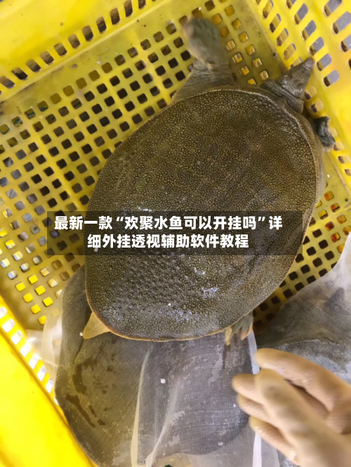 最新一款“欢聚水鱼可以开挂吗”详细外挂透视辅助软件教程