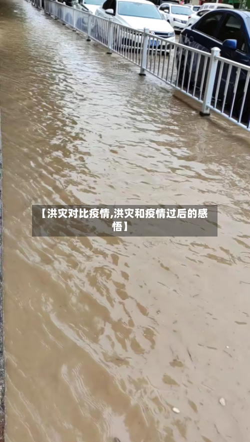【洪灾对比疫情,洪灾和疫情过后的感悟】