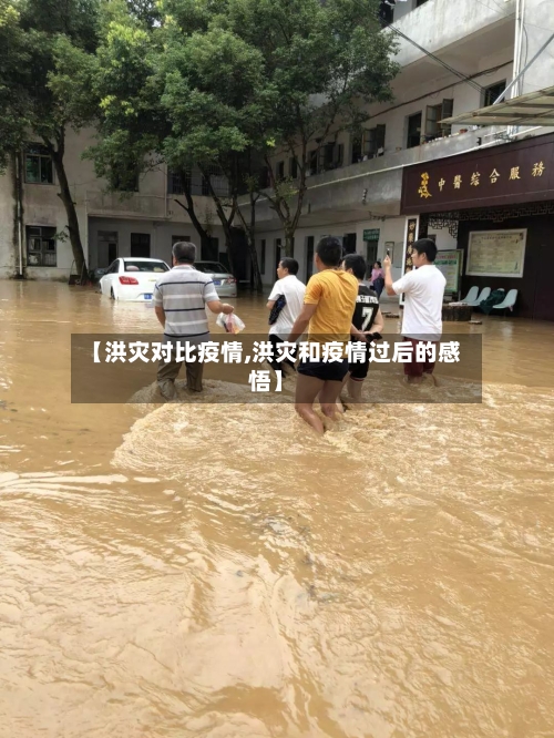 【洪灾对比疫情,洪灾和疫情过后的感悟】-第2张图片