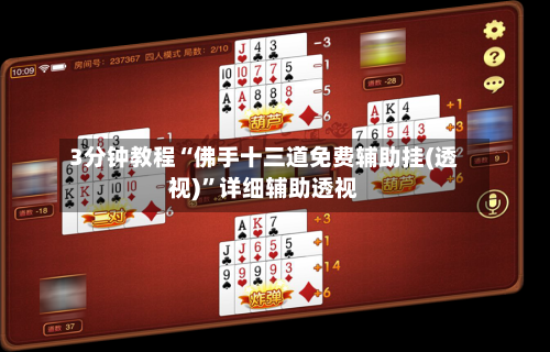 3分钟教程“佛手十三道免费辅助挂(透视)”详细辅助透视