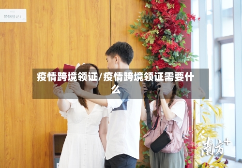 疫情跨境领证/疫情跨境领证需要什么-第2张图片