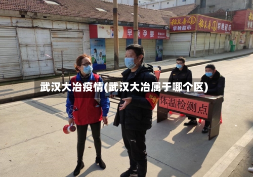 武汉大冶疫情(武汉大冶属于哪个区)