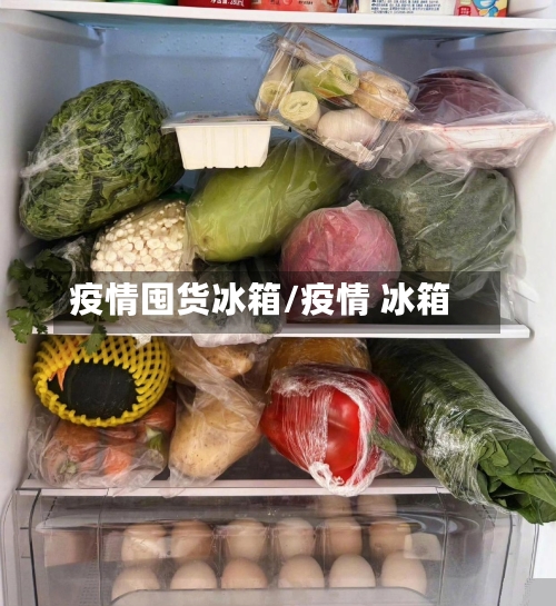 疫情囤货冰箱/疫情 冰箱