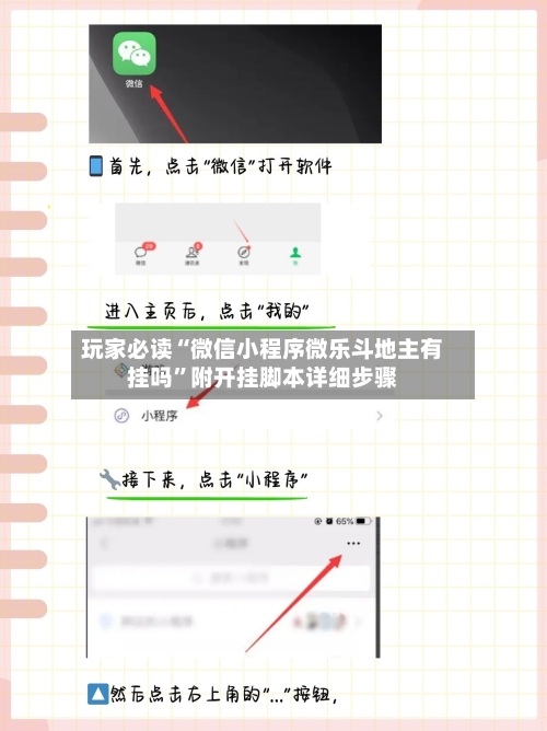 玩家必读“微信小程序微乐斗地主有挂吗”附开挂脚本详细步骤-第2张图片