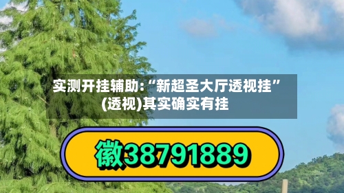 实测开挂辅助:“新超圣大厅透视挂”(透视)其实确实有挂