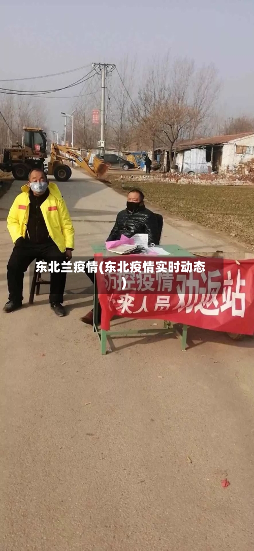 东北兰疫情(东北疫情实时动态)-第2张图片