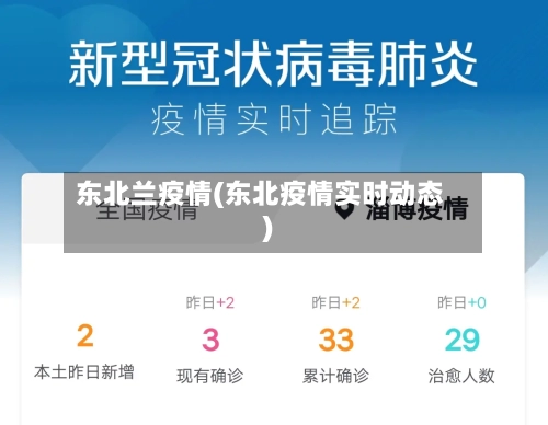 东北兰疫情(东北疫情实时动态)