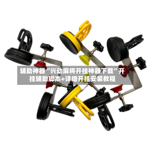 辅助神器“兴动麻将开挂神器下载”开挂辅助脚本+详细开挂安装教程-第3张图片