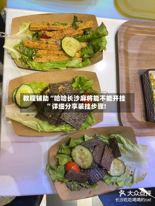 教程辅助“哈哈长沙麻将能不能开挂	”详细分享装挂步骤!-第2张图片