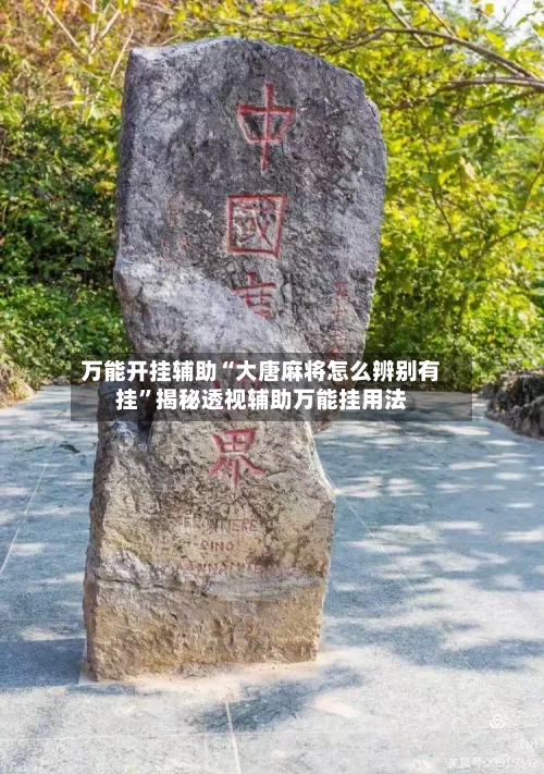 万能开挂辅助“大唐麻将怎么辨别有挂”揭秘透视辅助万能挂用法-第2张图片