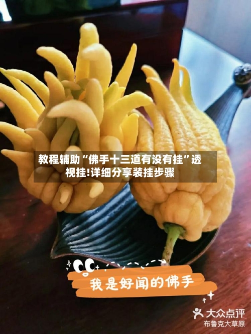 教程辅助“佛手十三道有没有挂”透视挂!详细分享装挂步骤