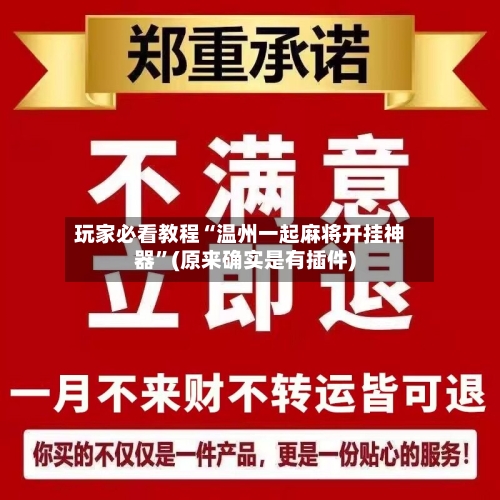 玩家必看教程“温州一起麻将开挂神器”(原来确实是有插件)-第2张图片