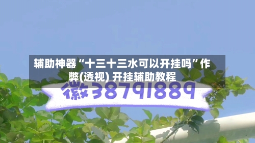 辅助神器“十三十三水可以开挂吗”作弊(透视) 开挂辅助教程