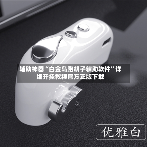 辅助神器“白金岛跑胡子辅助软件”详细开挂教程官方正版下载