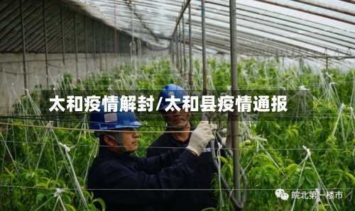 太和疫情解封/太和县疫情通报-第2张图片