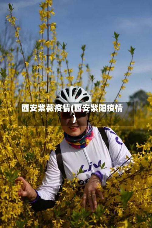 西安紫薇疫情(西安紫阳疫情)-第1张图片