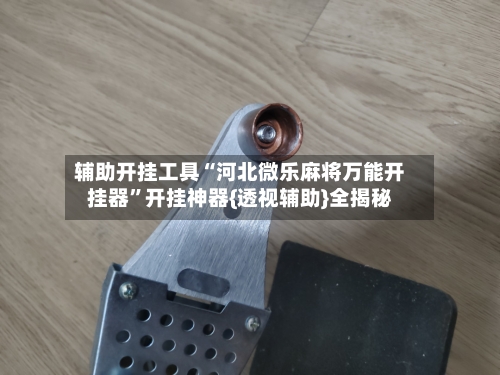 辅助开挂工具“河北微乐麻将万能开挂器”开挂神器{透视辅助}全揭秘-第1张图片