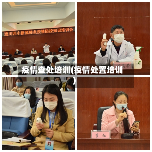疫情查处培训(疫情处置培训)
