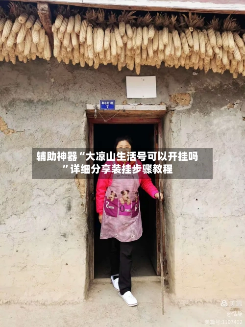 辅助神器“大凉山生活号可以开挂吗”详细分享装挂步骤教程-第2张图片