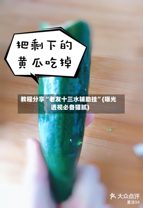 教程分享“老友十三水辅助挂”(曝光透视必备猫腻)-第1张图片