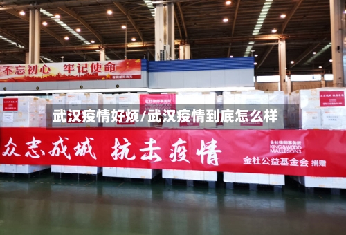 武汉疫情好烦/武汉疫情到底怎么样-第1张图片