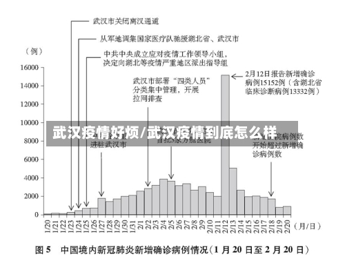 武汉疫情好烦/武汉疫情到底怎么样-第2张图片