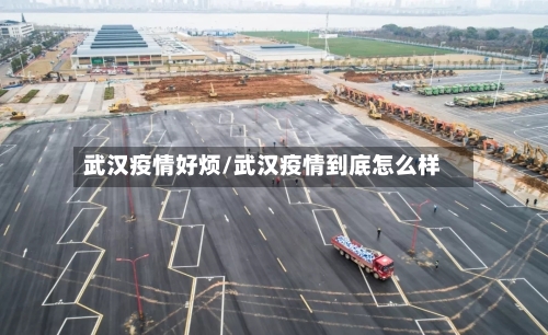 武汉疫情好烦/武汉疫情到底怎么样-第3张图片