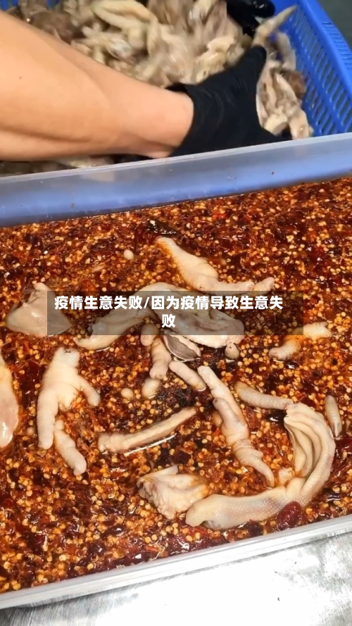 疫情生意失败/因为疫情导致生意失败