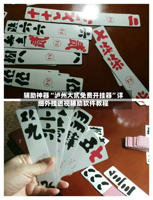 辅助神器“泸州大贰免费开挂器”详细外挂透视辅助软件教程