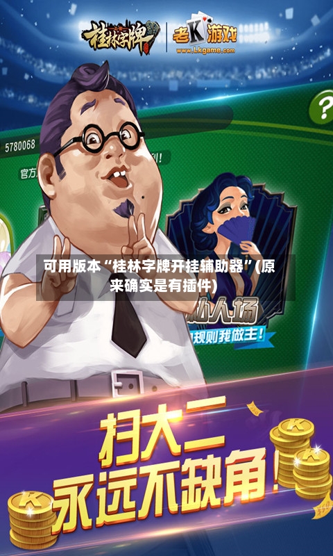 可用版本“桂林字牌开挂辅助器”(原来确实是有插件)-第2张图片