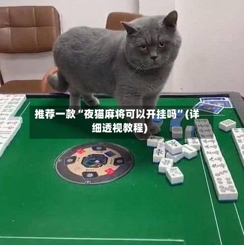 推荐一款“夜猫麻将可以开挂吗	”(详细透视教程)-第2张图片