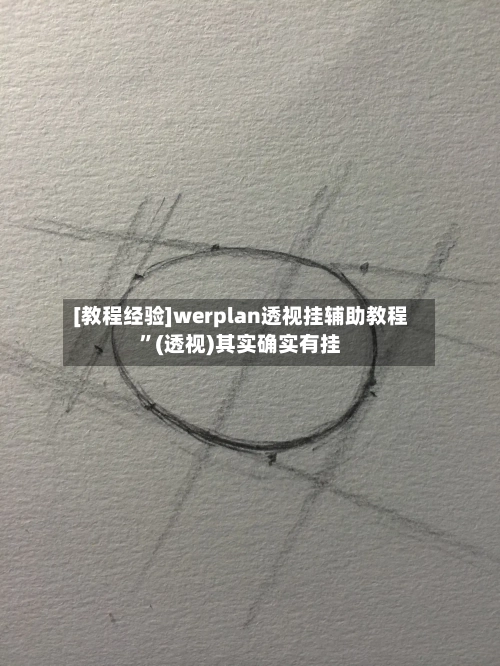 [教程经验]werplan透视挂辅助教程”(透视)其实确实有挂
