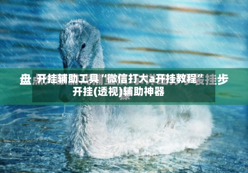 开挂辅助工具“微信打大a开挂教程	”开挂(透视)辅助神器-第1张图片