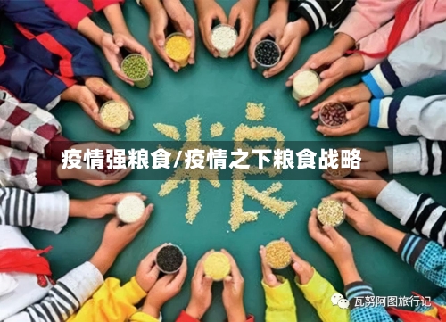 疫情强粮食/疫情之下粮食战略