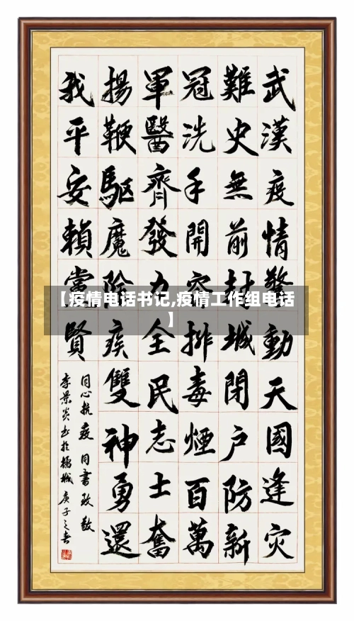 【疫情电话书记,疫情工作组电话】